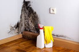 Best Dehumidification Services  in Fort Bliss, TX